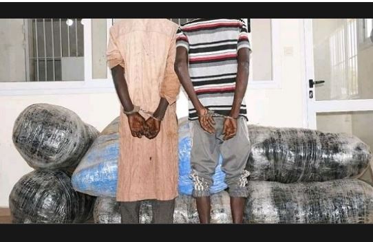 Lire la suite à propos de l’article Grand-Médine: Abdou A. Thiam arrêté avec un sac d’oranges où une quantité importante de drogue était cachée…